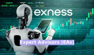 Quel est le nom de l'expert en Forex d'Exness?